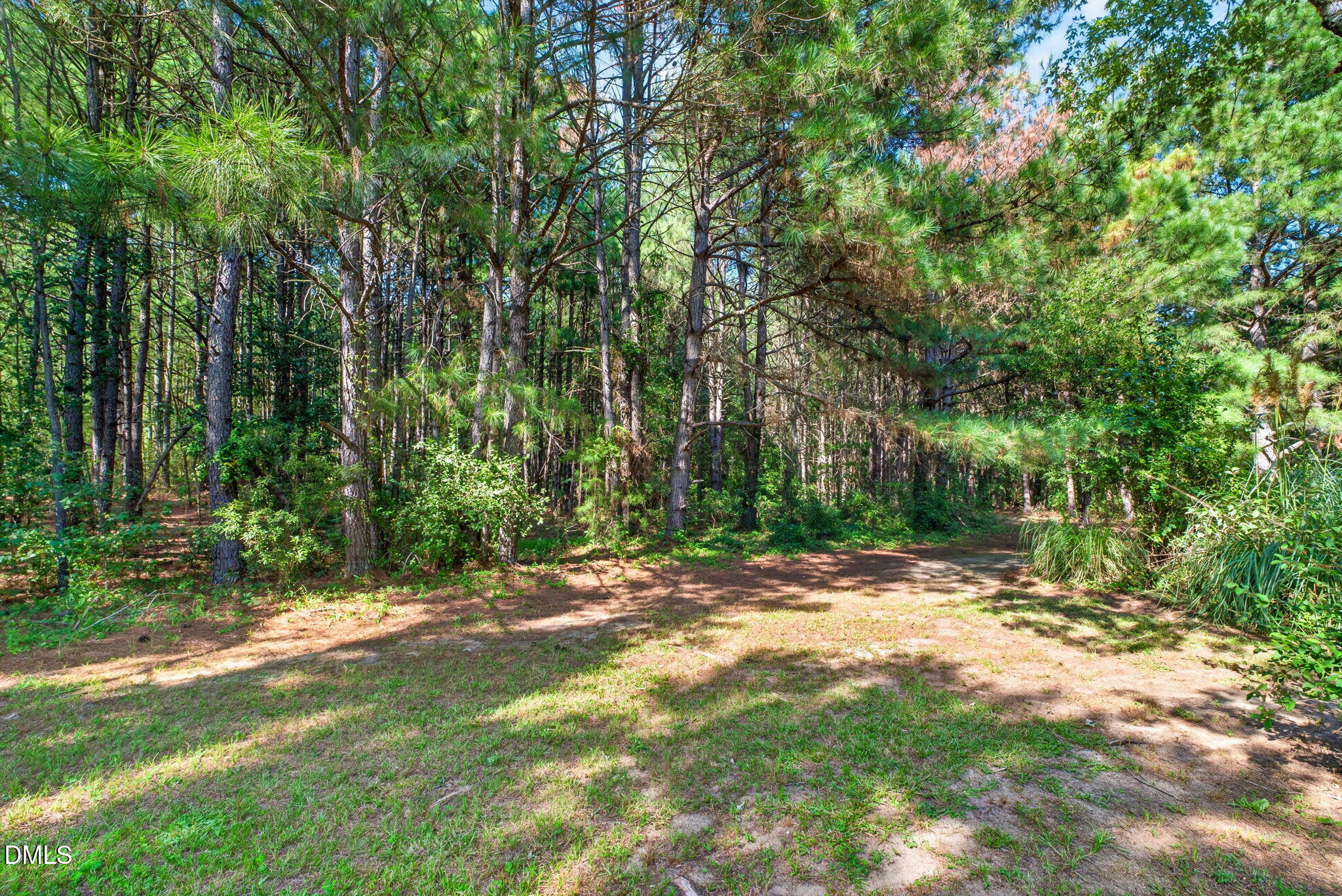 1200 Honeycutt Road Property Photo 46