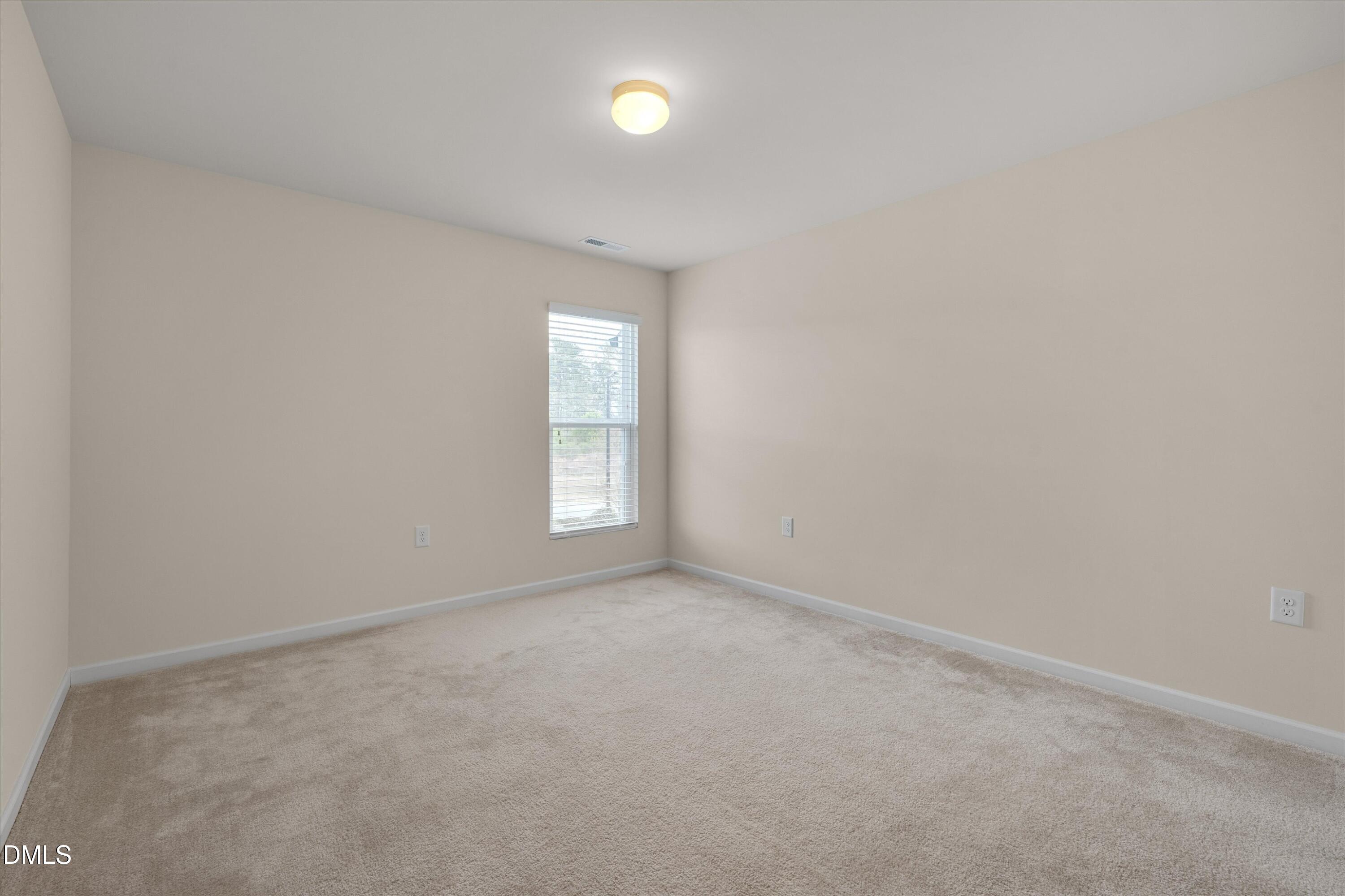 1010 Laceflower Drive Property Photo 19