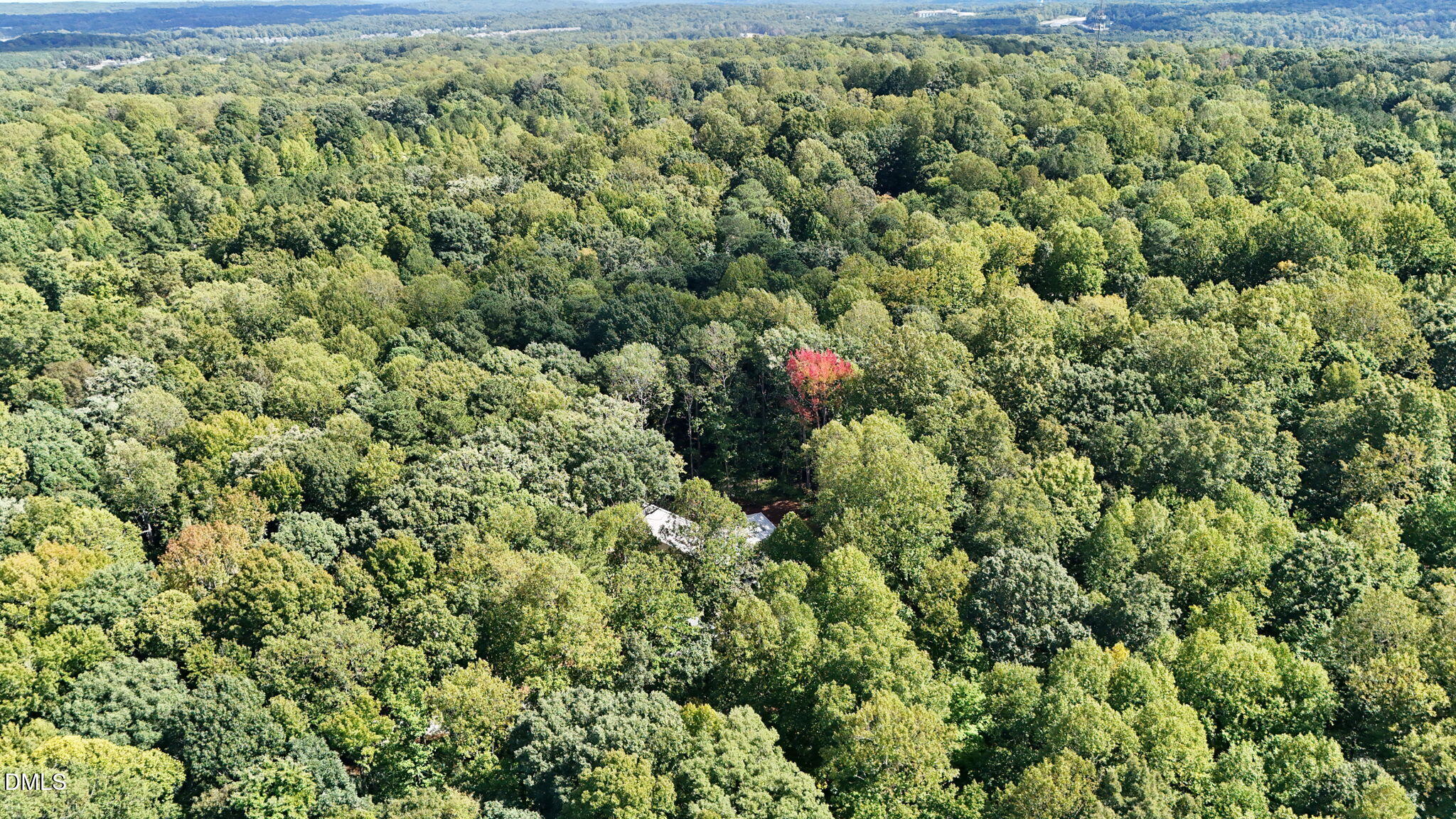 2347 Grady Ridge Way Property Photo 44