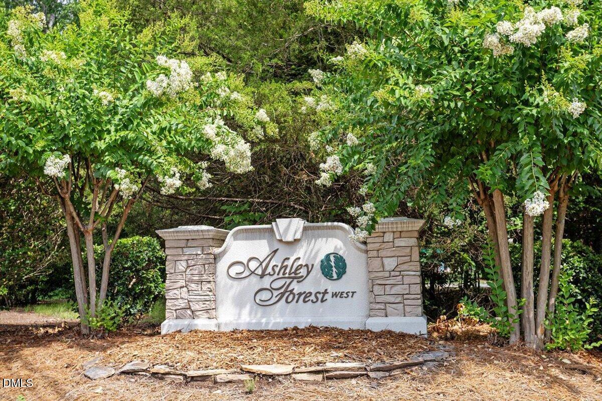 4 Icon Court Property Photo 35