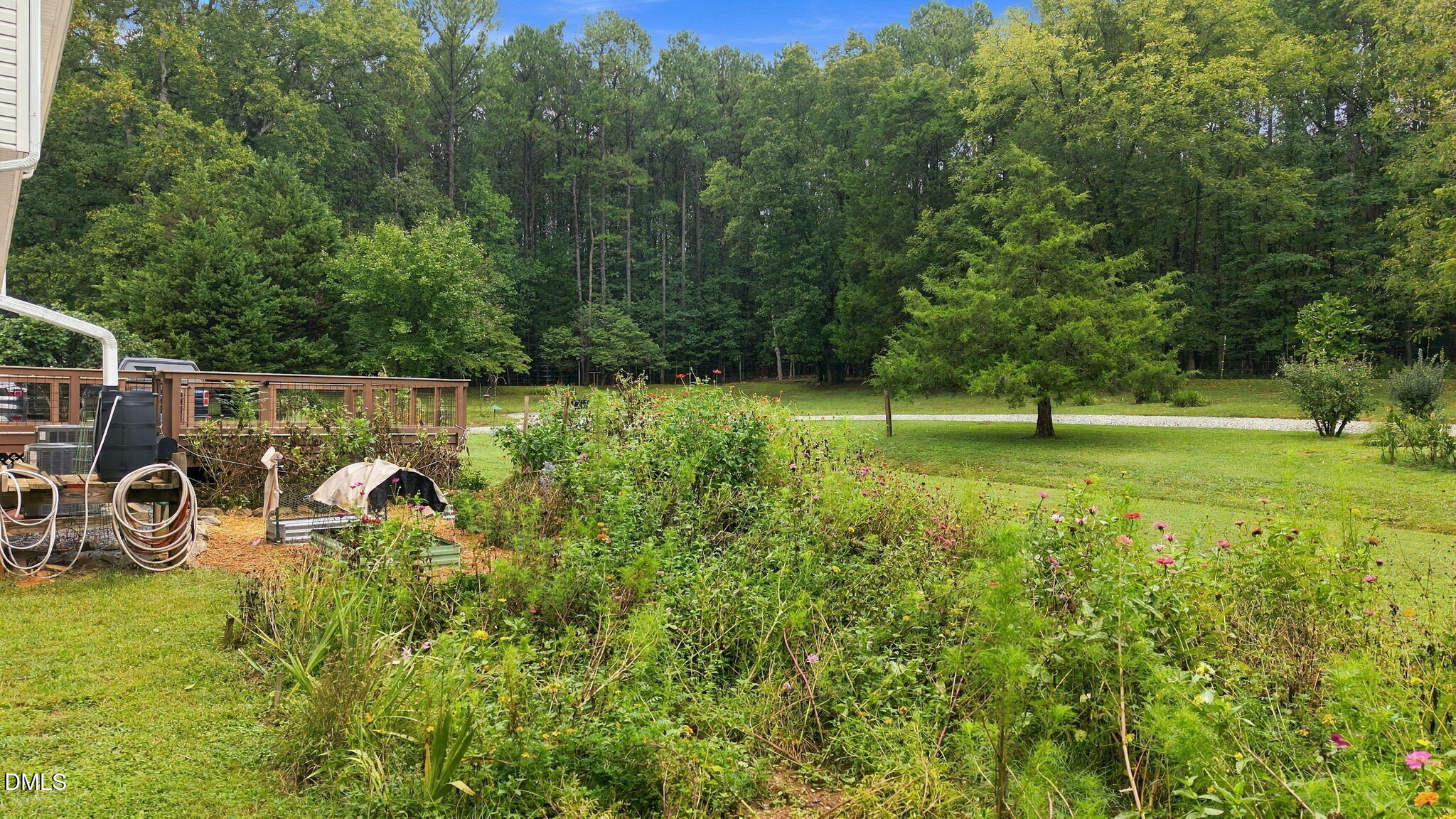 5909 Cole Mill Road Property Photo 41