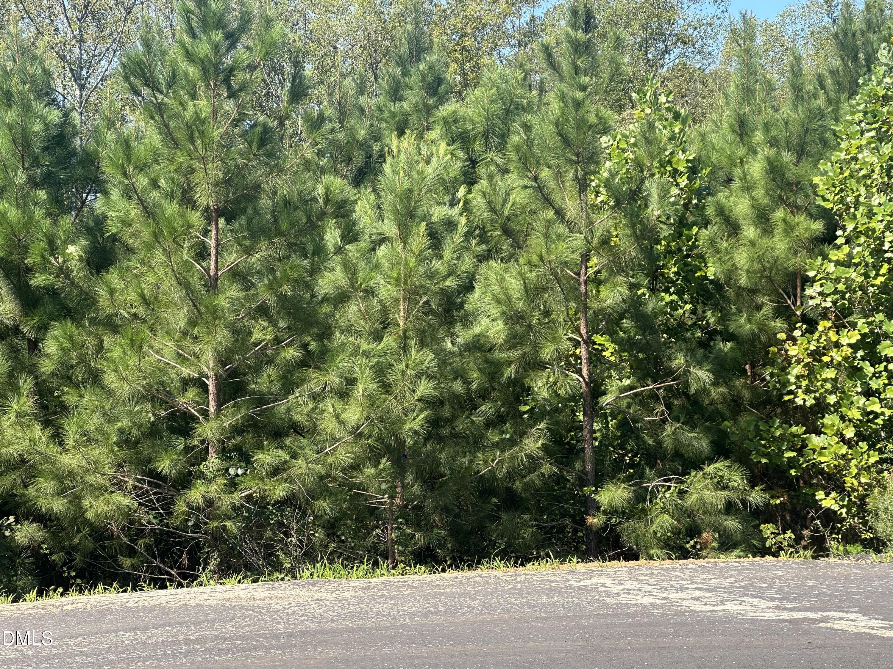 Lot 15 0 W Old Spring Hope Rd Property Photo 1
