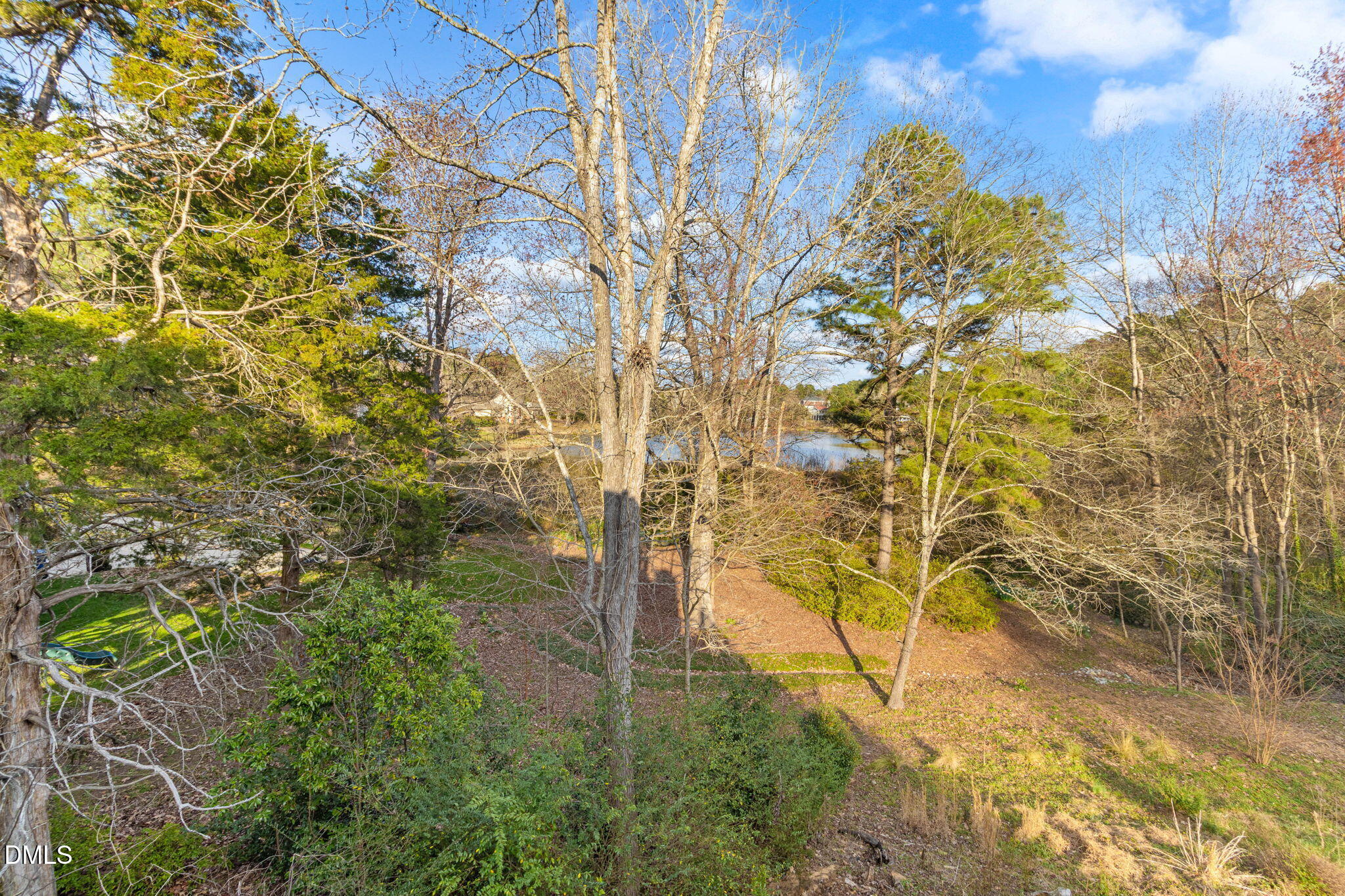 4205 Swarthmore Road Property Photo 78