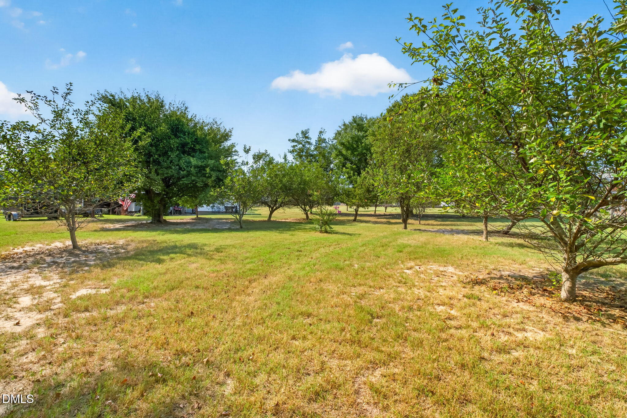 239 Lancashire Run Property Photo 56