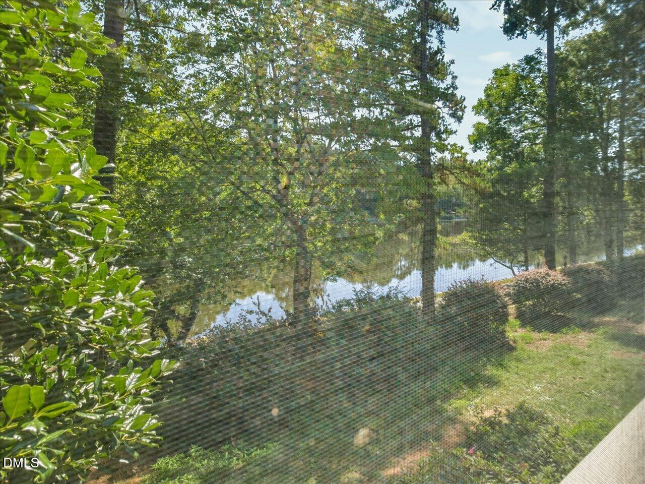 317 Glen Echo Lane Property Photo 19