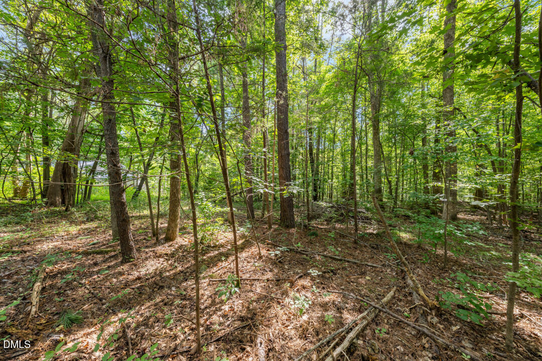 1556 Dogwood Drive Property Photo 1