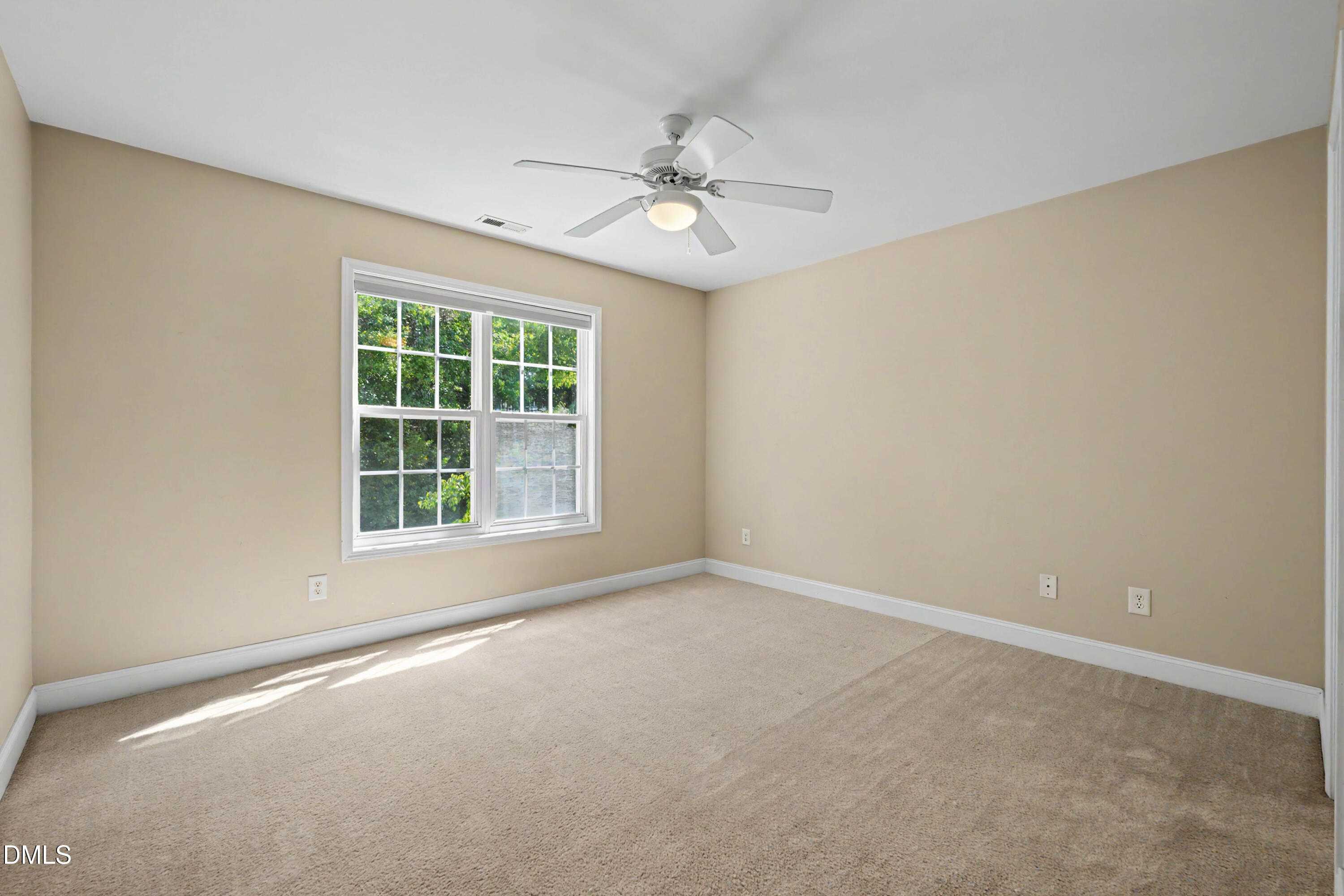 29 Grapevine Trail Property Photo 21