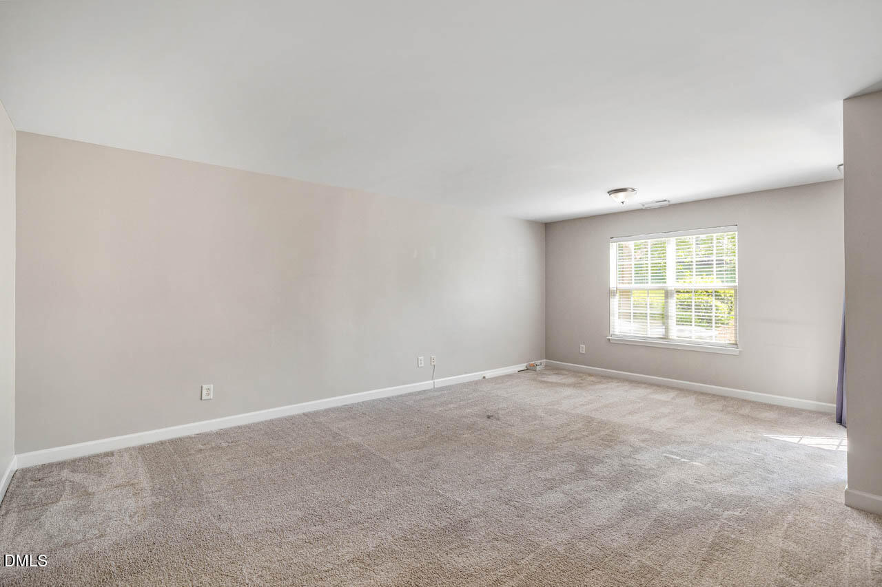 255 Bally Shannon Way Property Photo 47