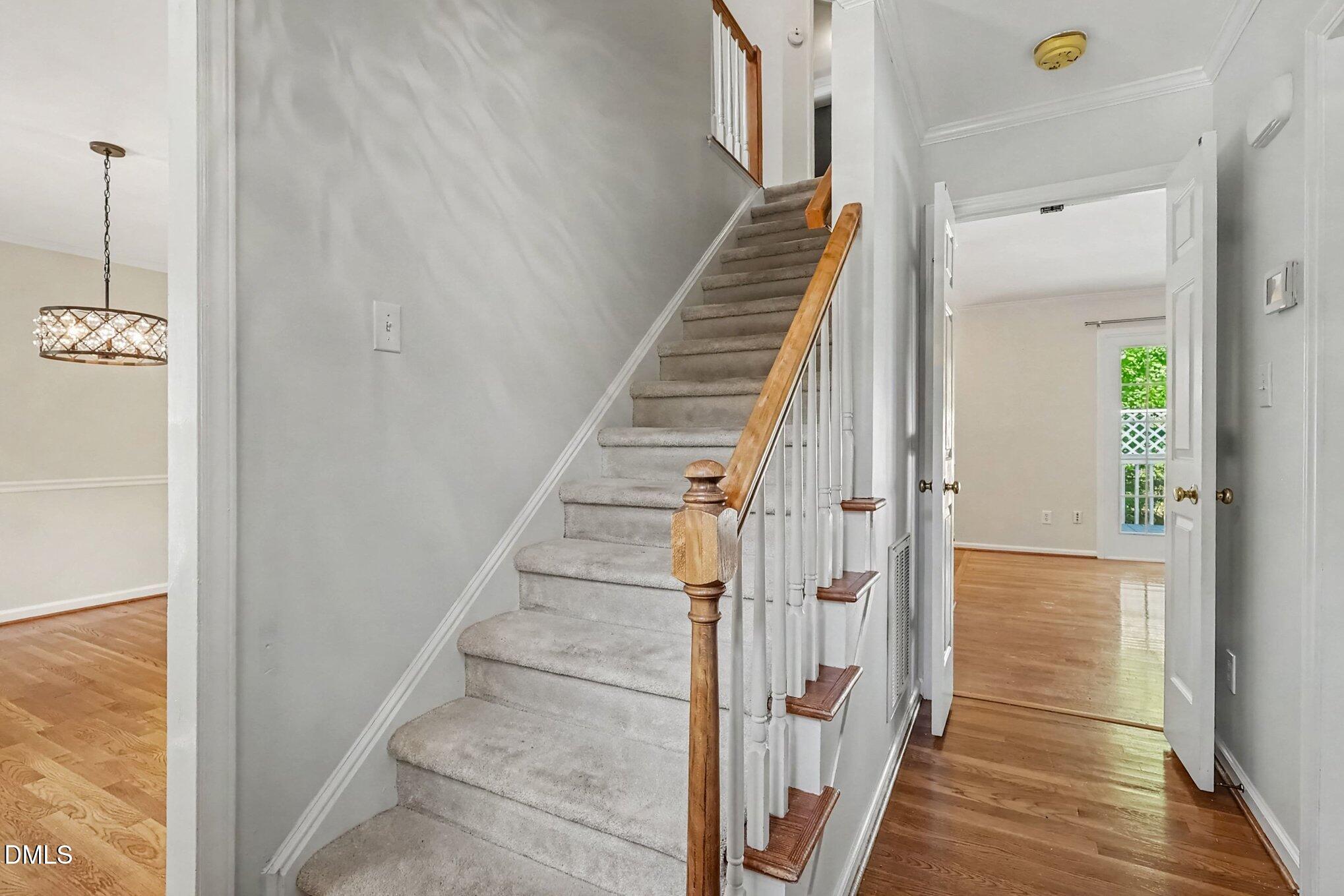 203 Silvercliff Trail Property Photo 6