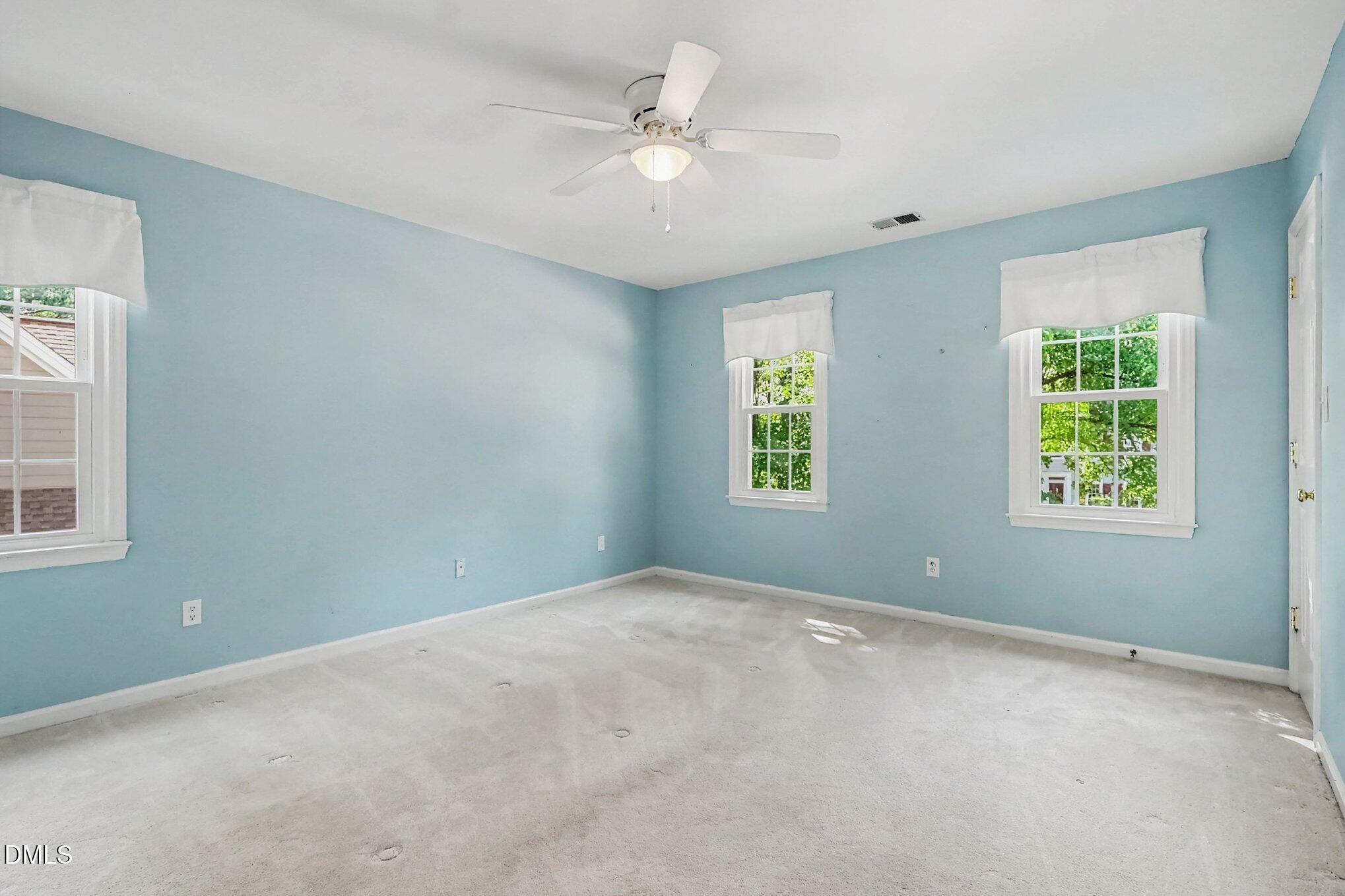 203 Silvercliff Trail Property Photo 19