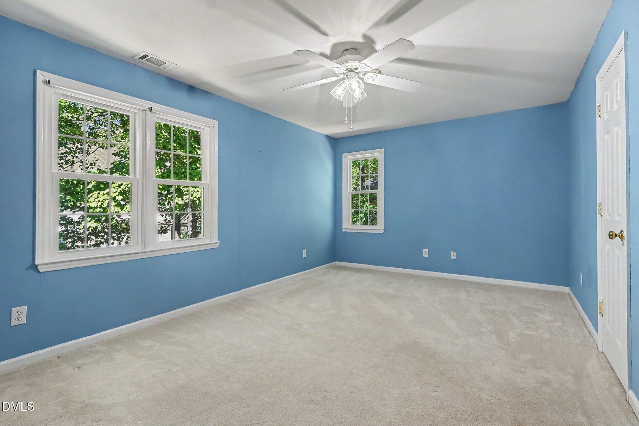 203 Silvercliff Trail Property Photo 23