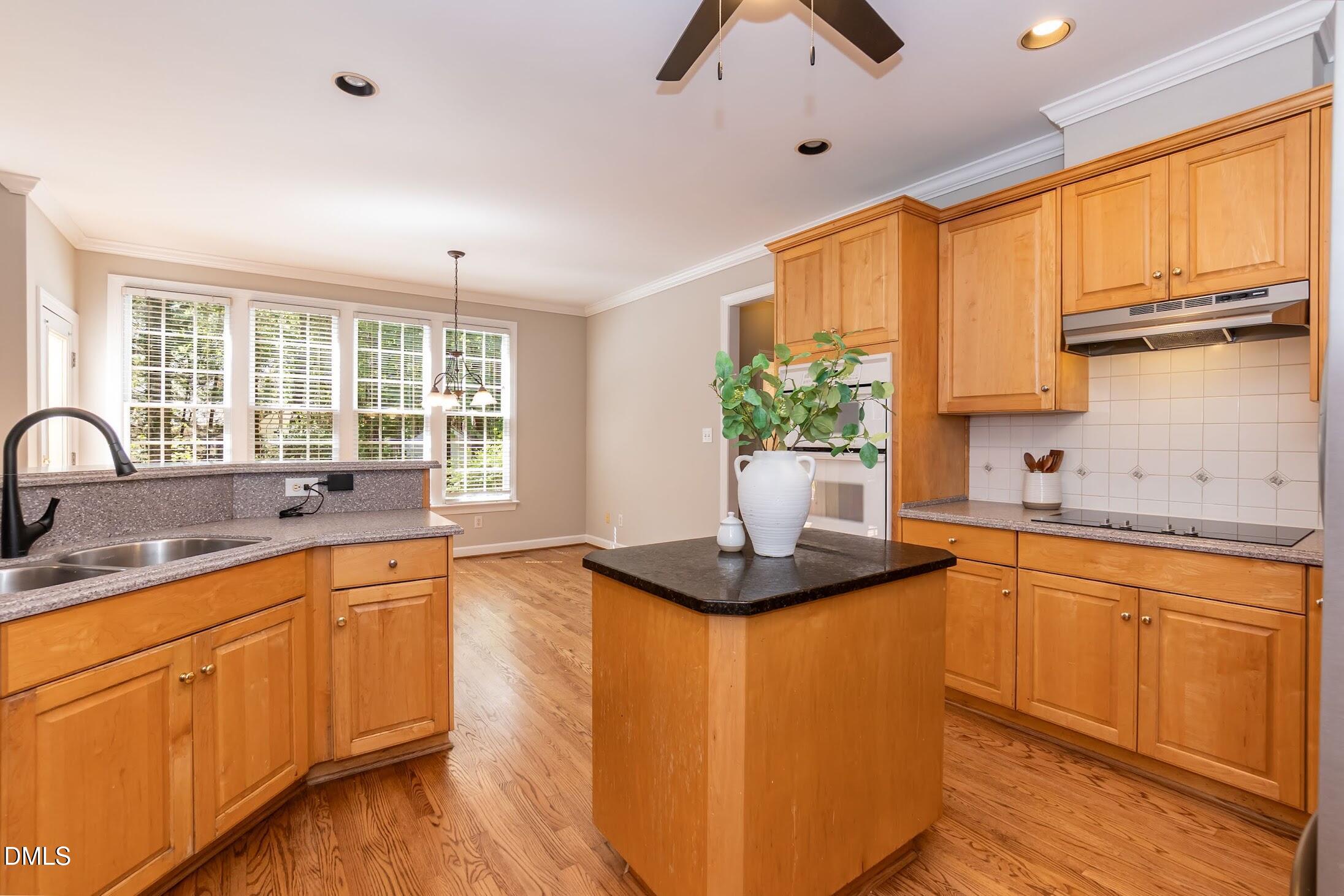 102 Langshire Court Property Photo 19