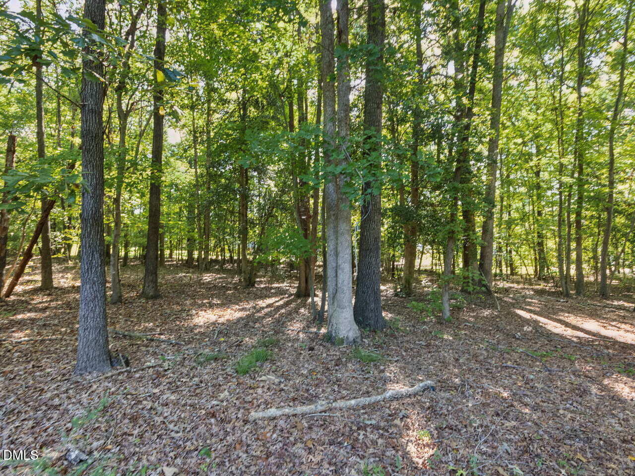 4100 Timberbrook Drive Property Photo 34