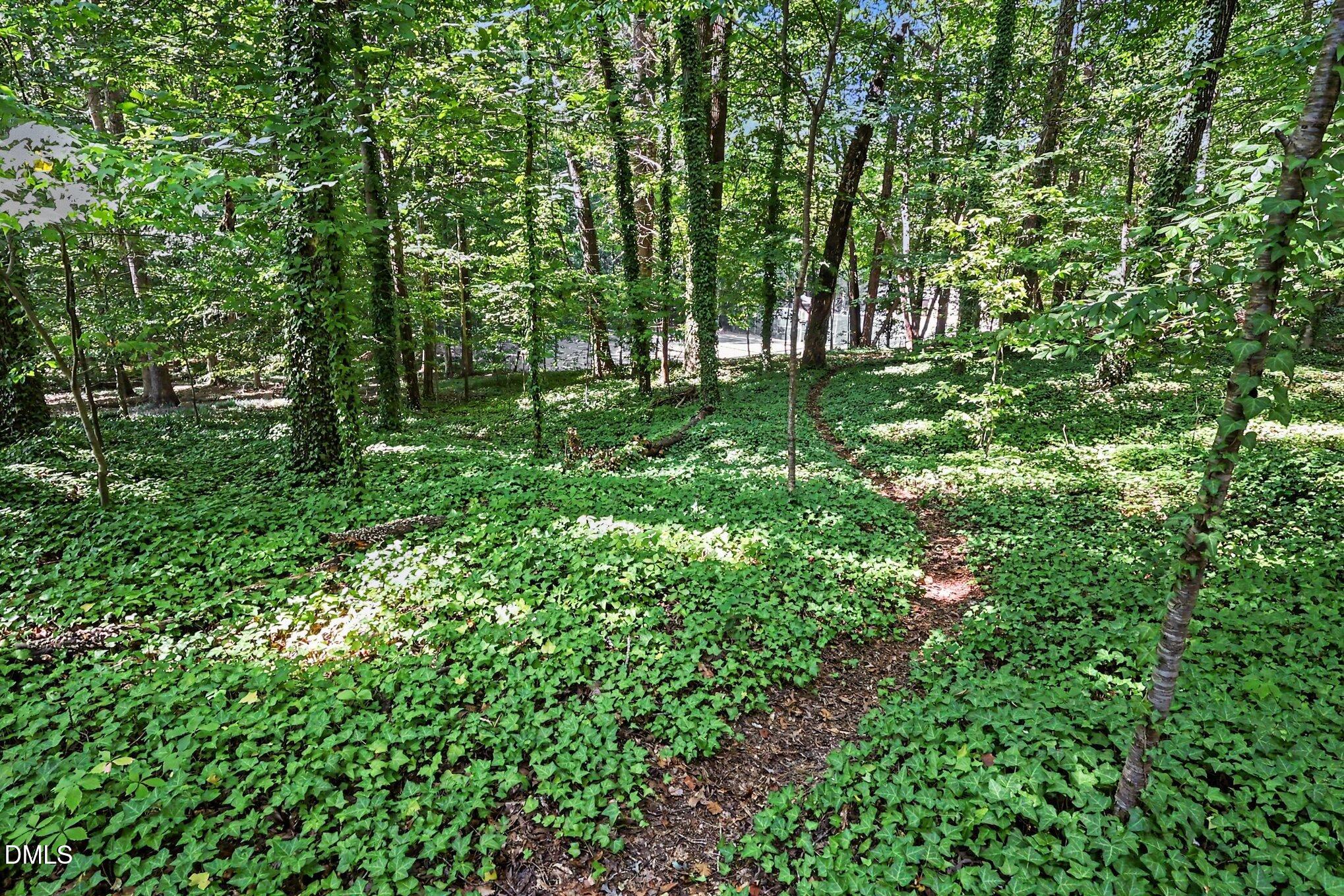 6213 Lakerun Court Property Photo 33