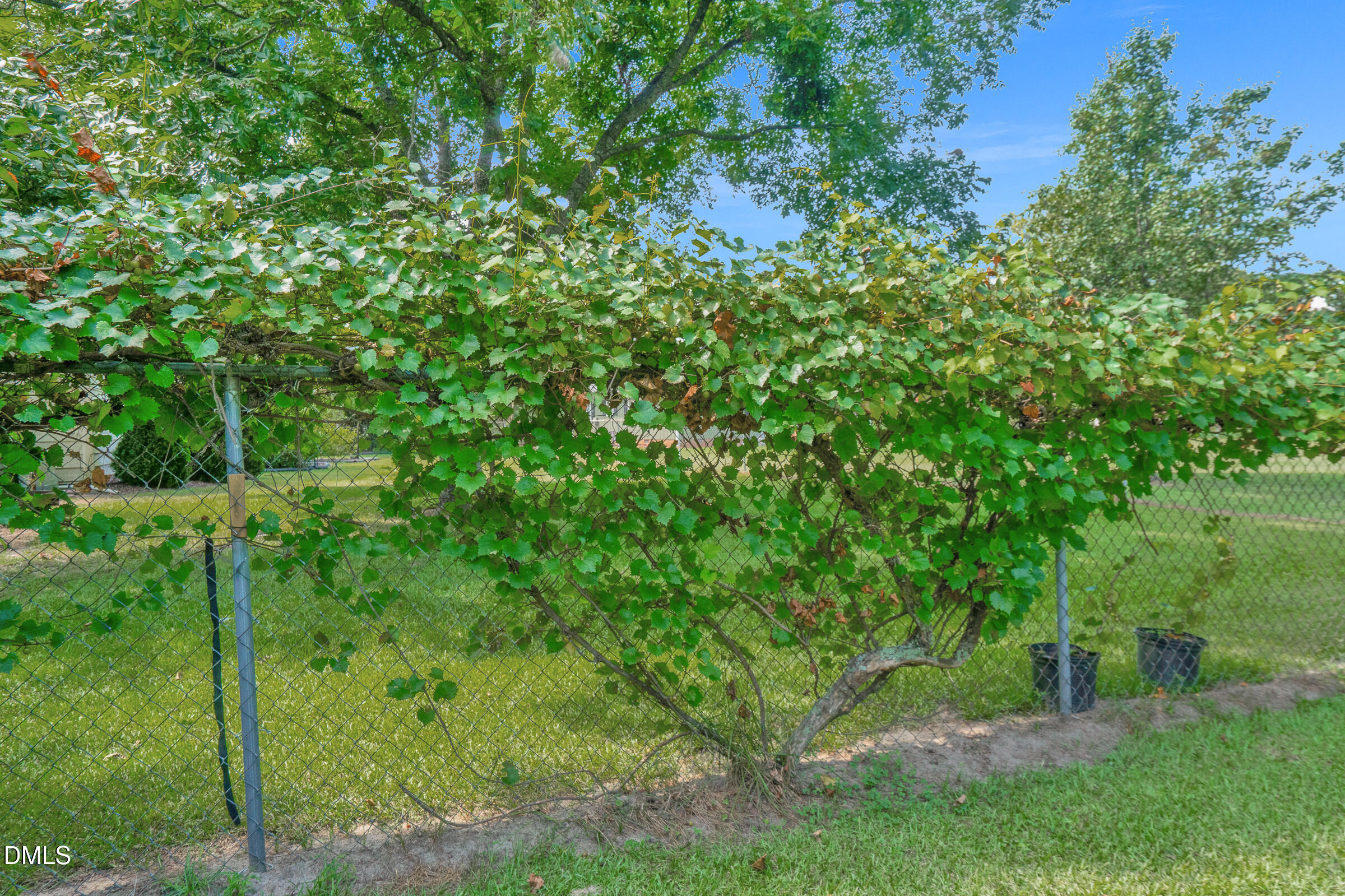 10008 Jordan Road Property Photo 23
