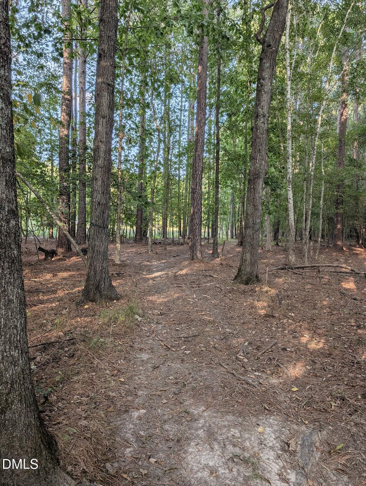 145 Talicud Trail Property Photo 46