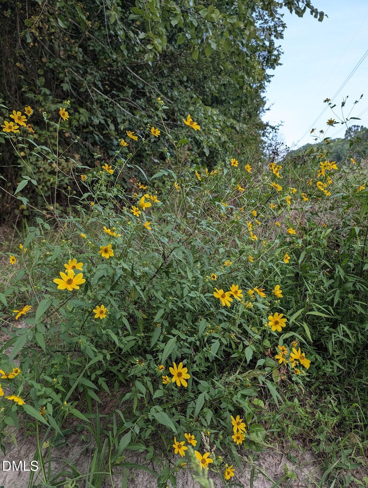 145 Talicud Trail Property Photo 48