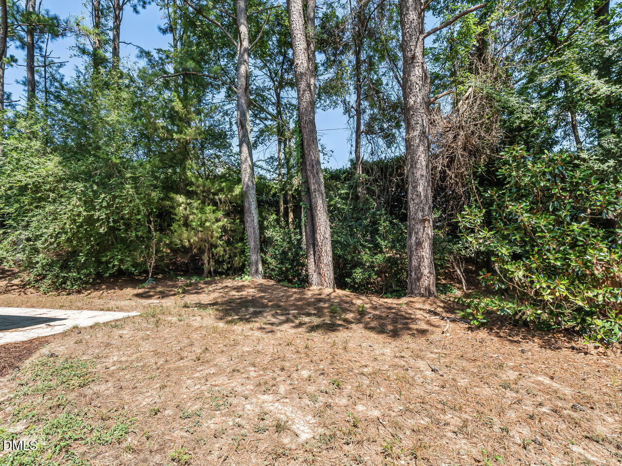 1149 Golden Star Way Property Photo 35