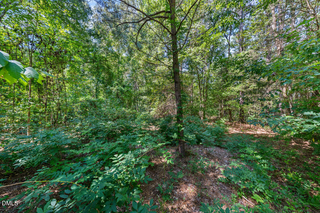 1028 Lynn Road Property Photo 15