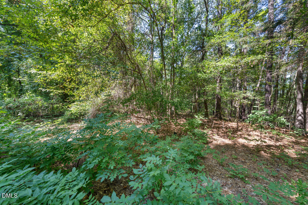 1028 Lynn Road Property Photo 16