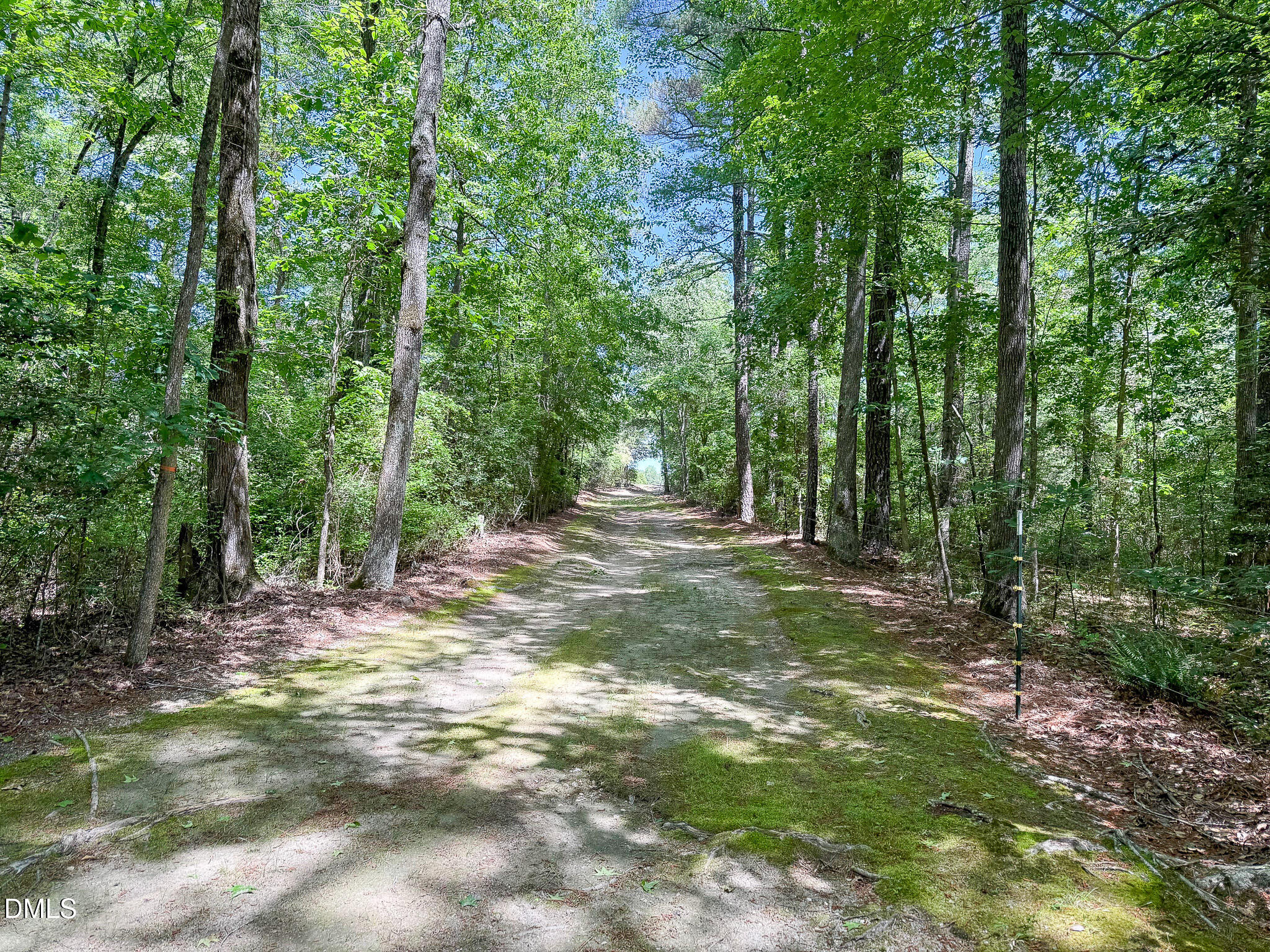394 King Road Property Photo 96