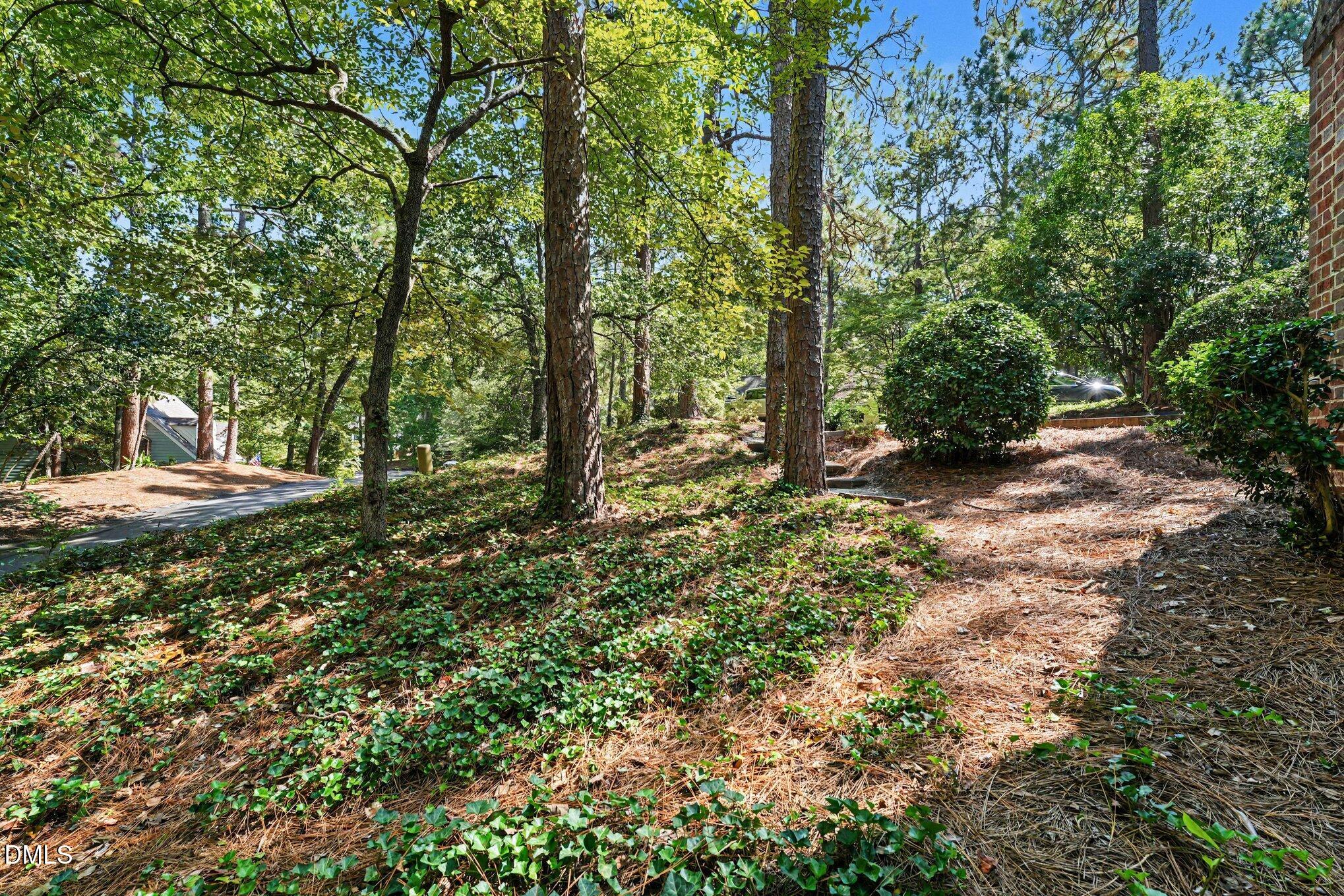 10 Village In The Woods Circle Property Photo 28