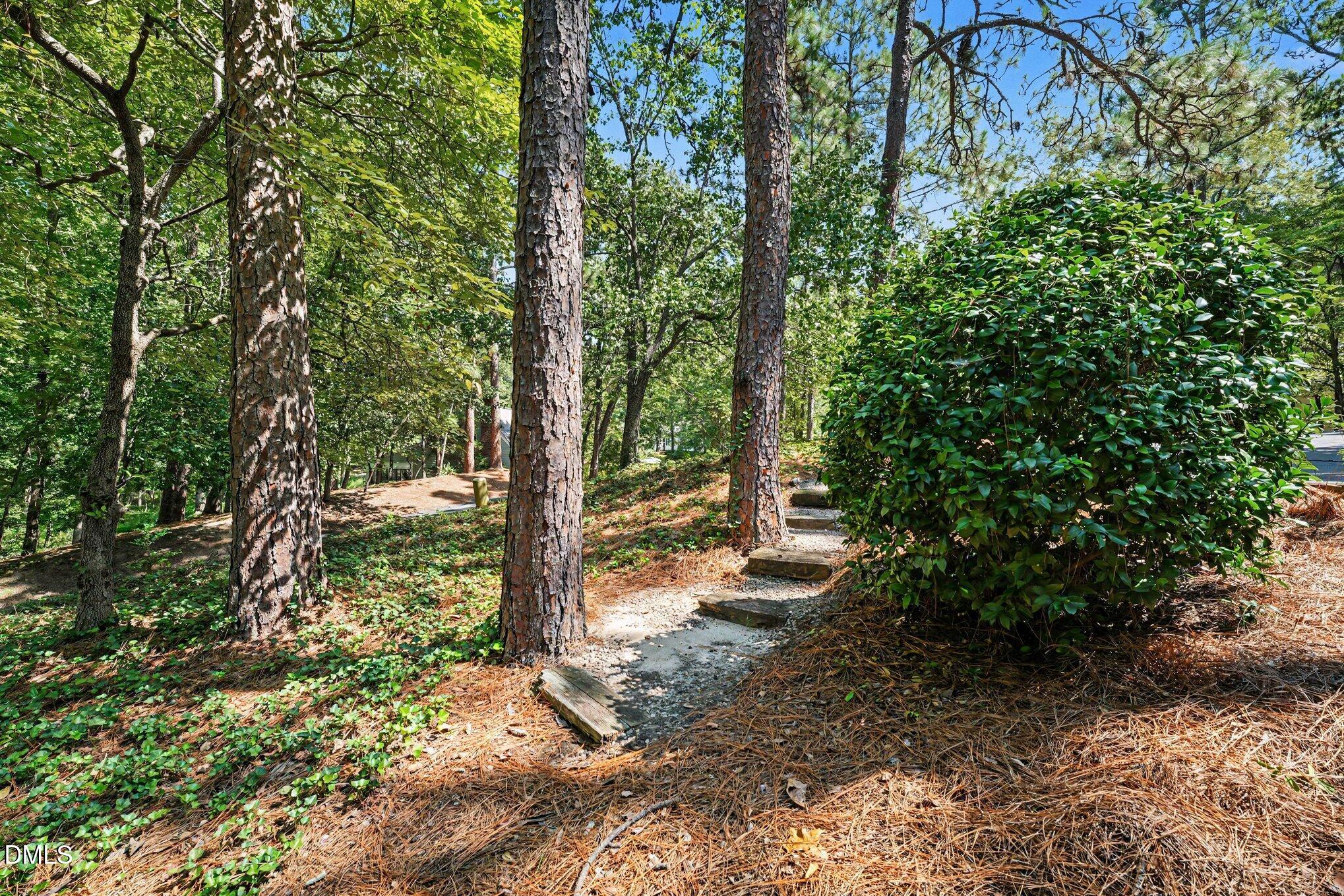 10 Village In The Woods Circle Property Photo 30
