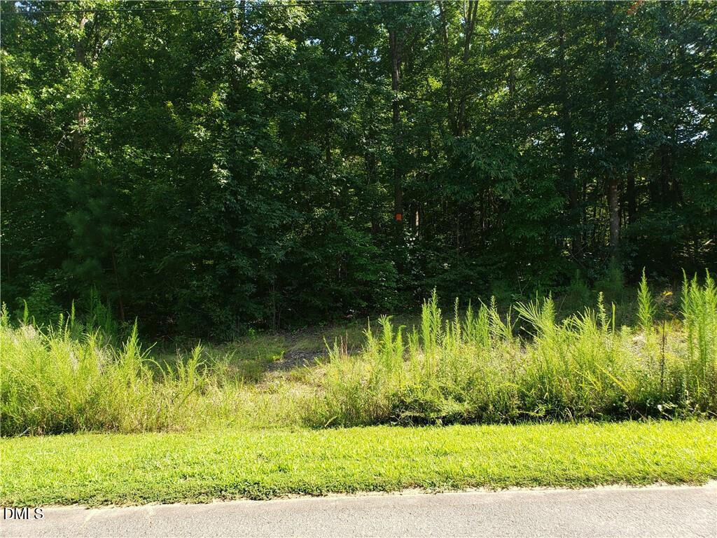 1131 Hummingbird Lane Property Photo 1