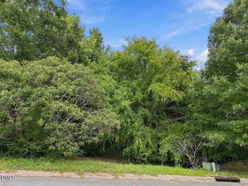 4912 Fly Way Drive Property Photo 8