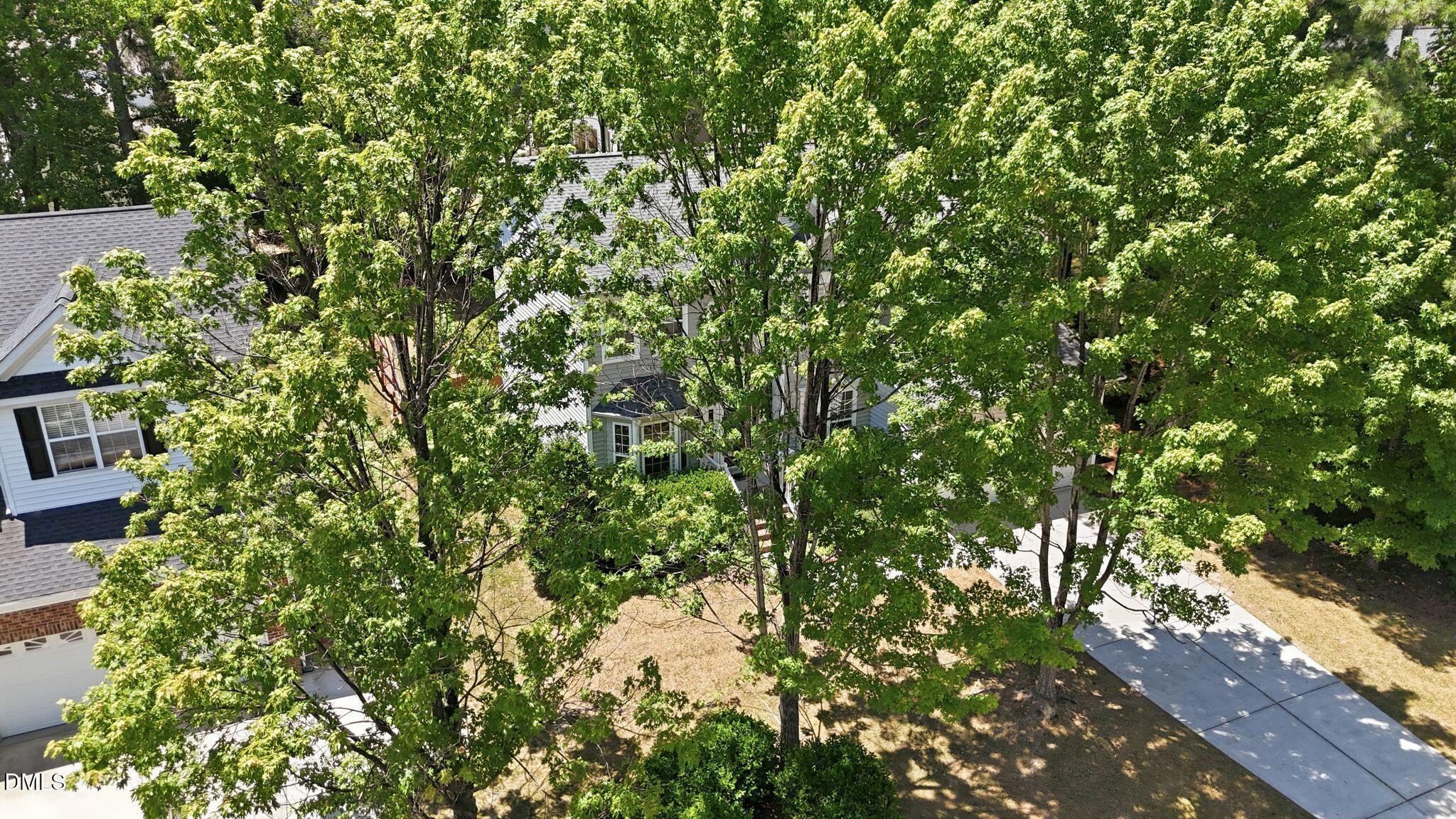 205 Bethabara Lane Property Photo 39