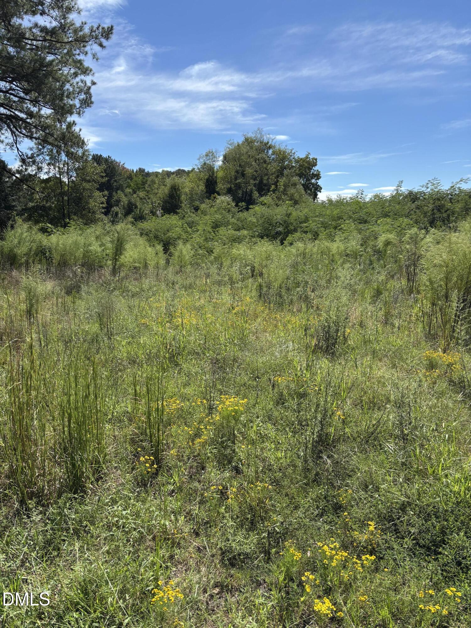 5878 Nc-561 Property Photo 2