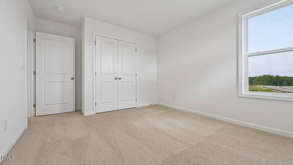 2325 Turpentine Drive Property Photo 12