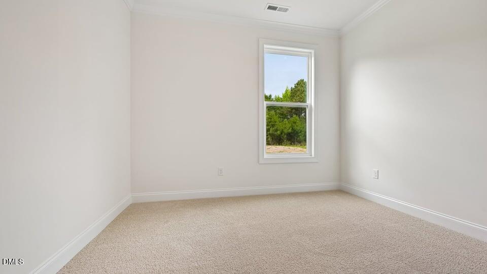 2325 Turpentine Drive Property Photo 17
