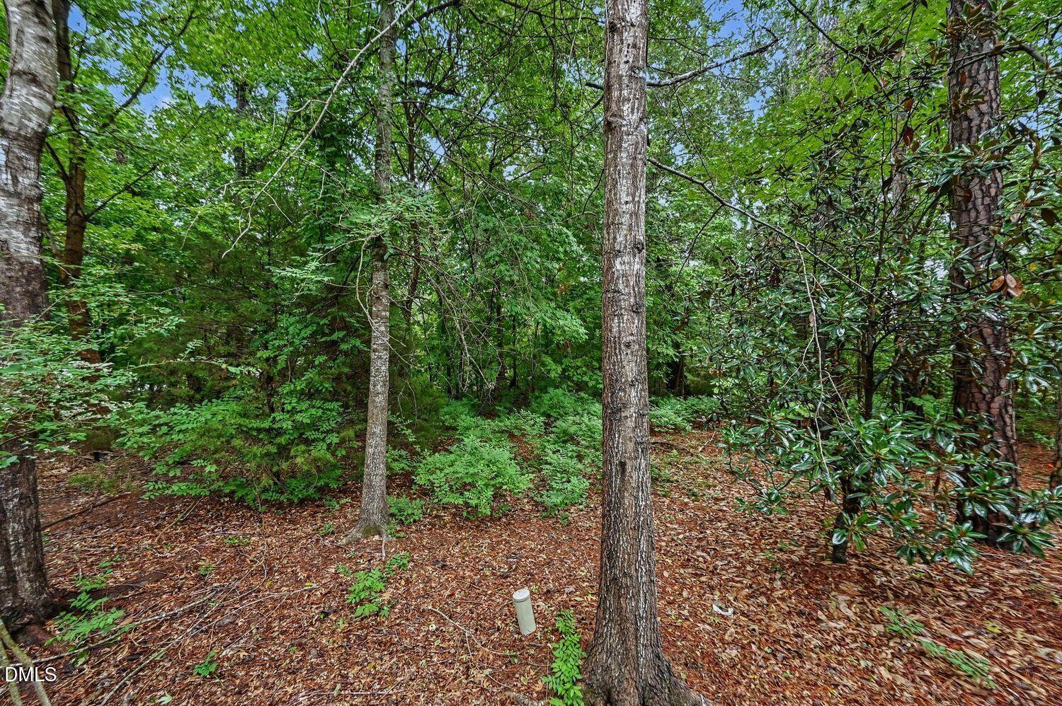 6 Abernathy Drive Property Photo 20
