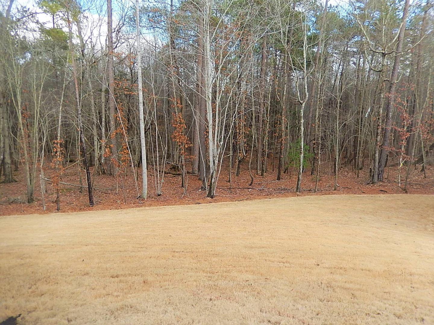 817 Oak Center Drive Property Photo 29