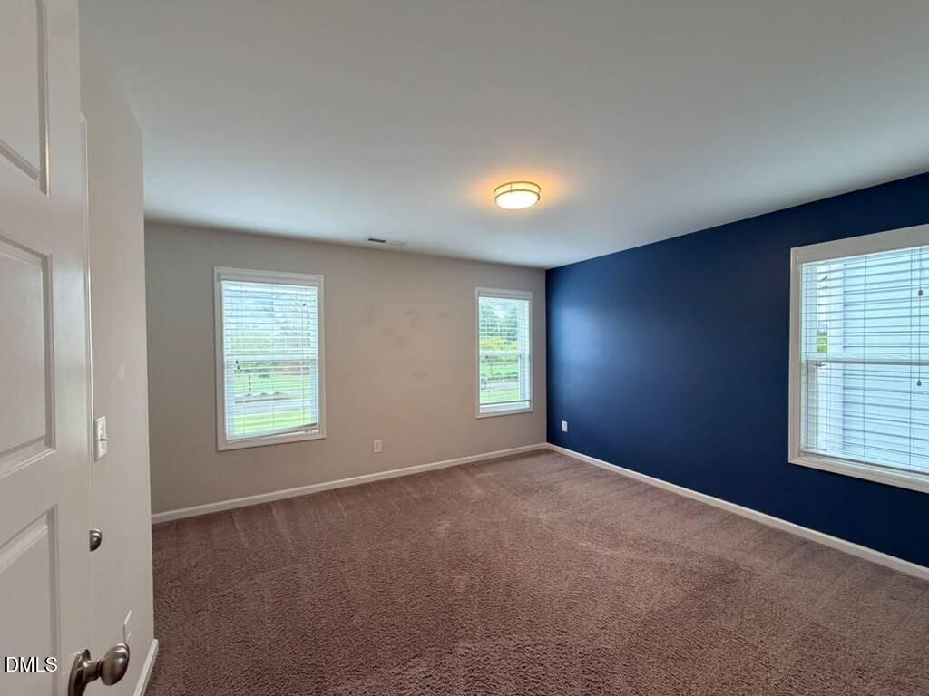 1244 Brown Velvet Lane Property Photo 17