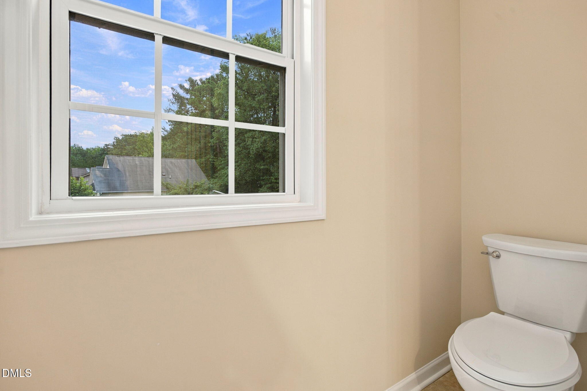 1602 Flowering Peach Trail Property Photo 27