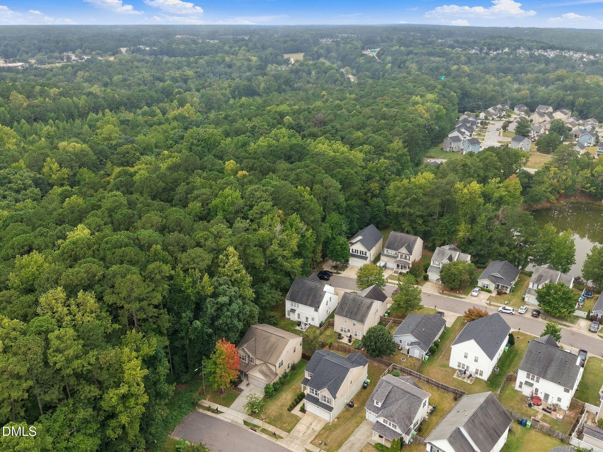 1602 Flowering Peach Trail Property Photo 49