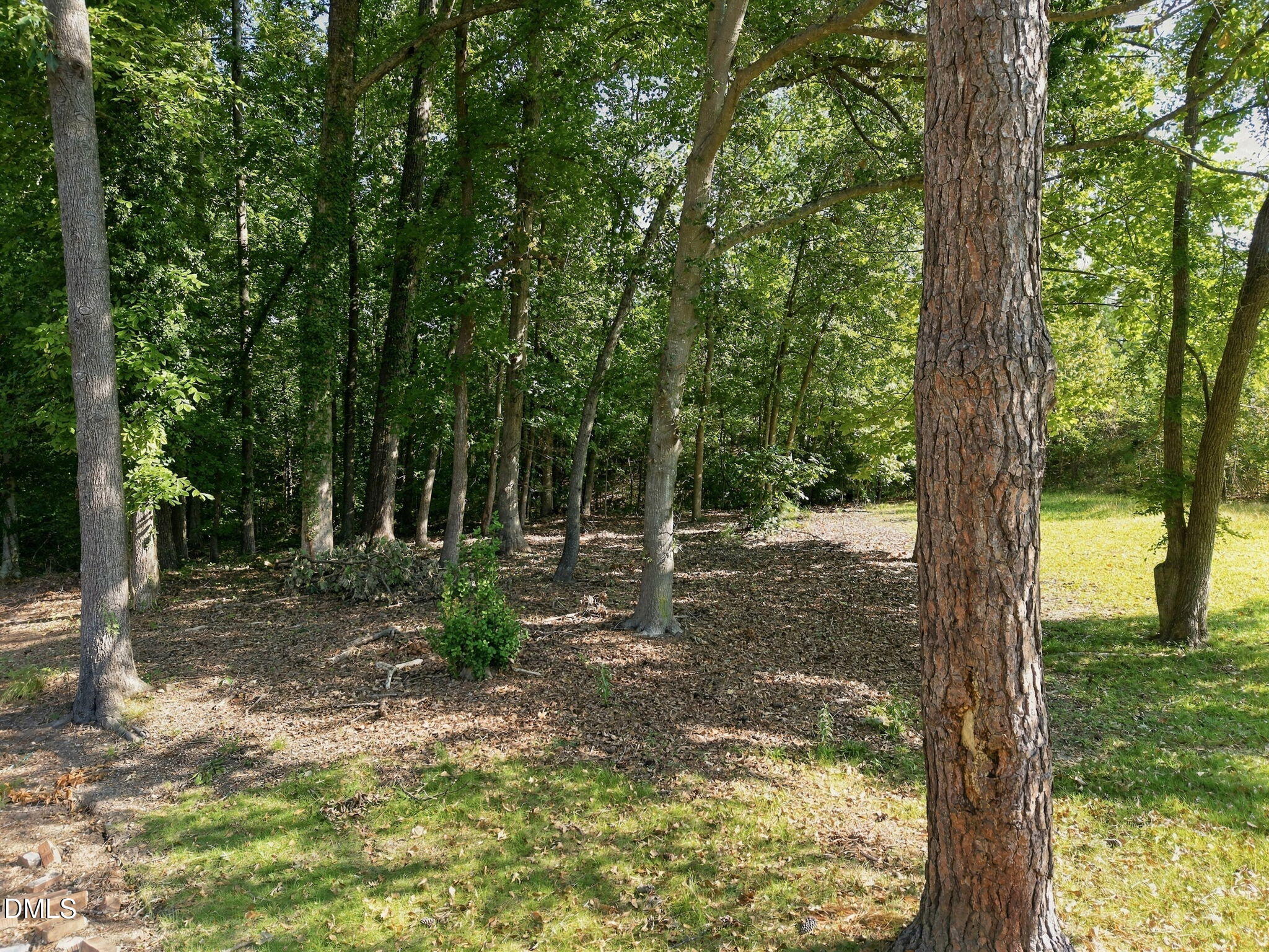 3349 Cheswick Drive Property Photo 26
