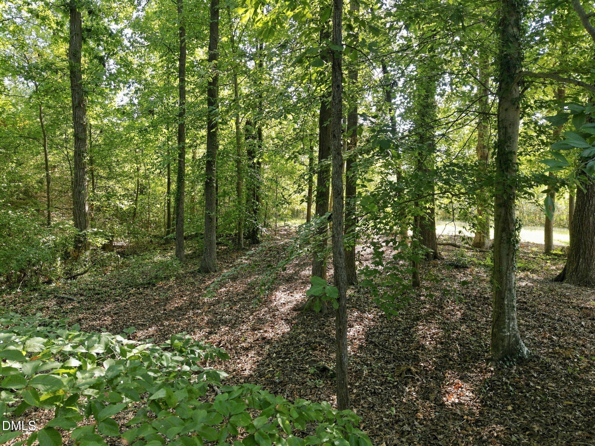 3349 Cheswick Drive Property Photo 29