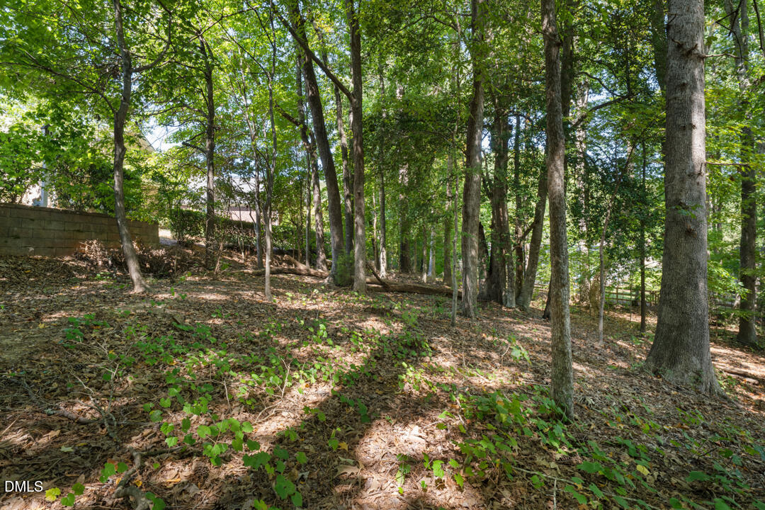106 Munnsee Court Property Photo 25