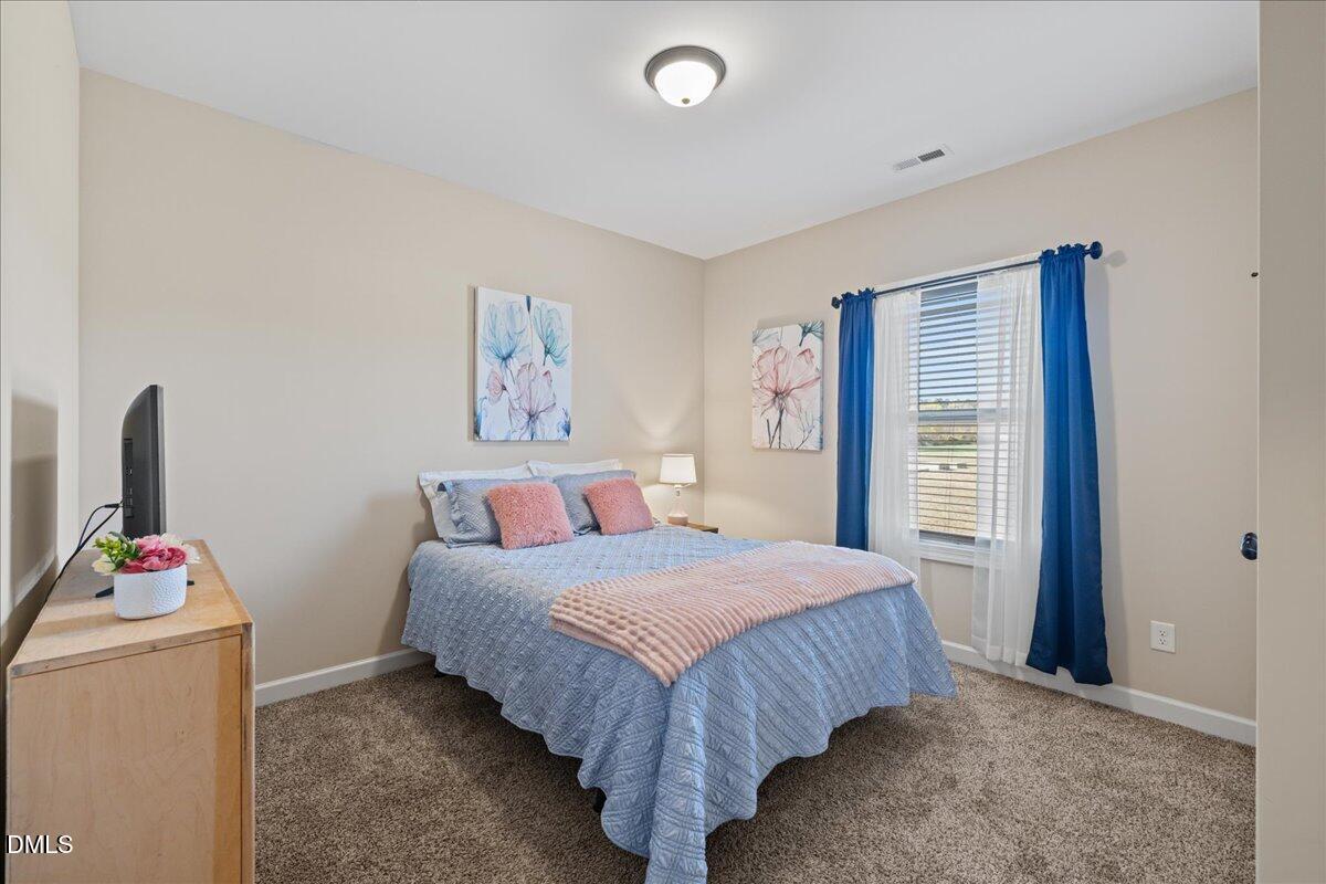 167 Whistling Duck Way Property Photo 23