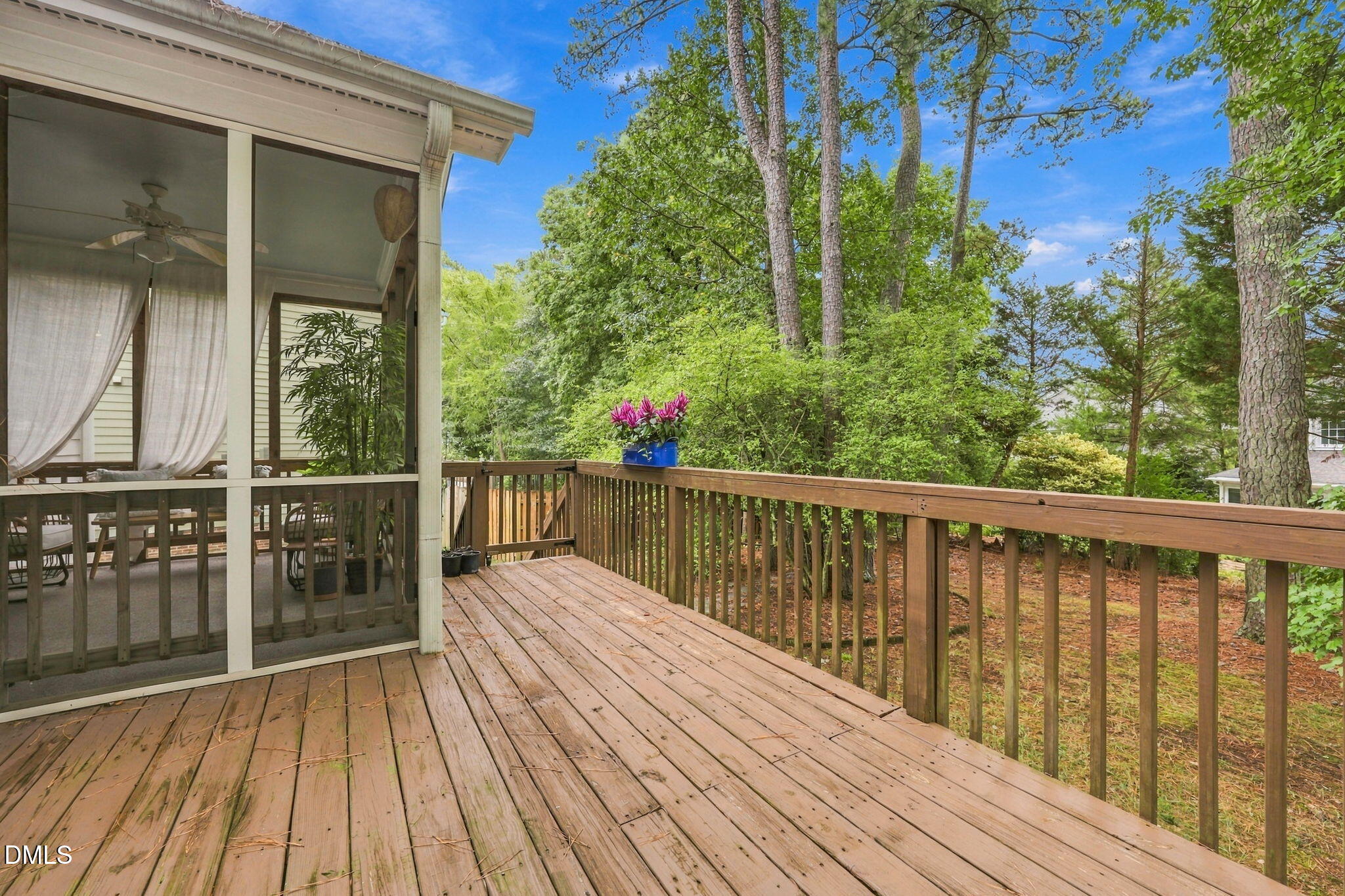 6 Sydenham Road Property Photo 19