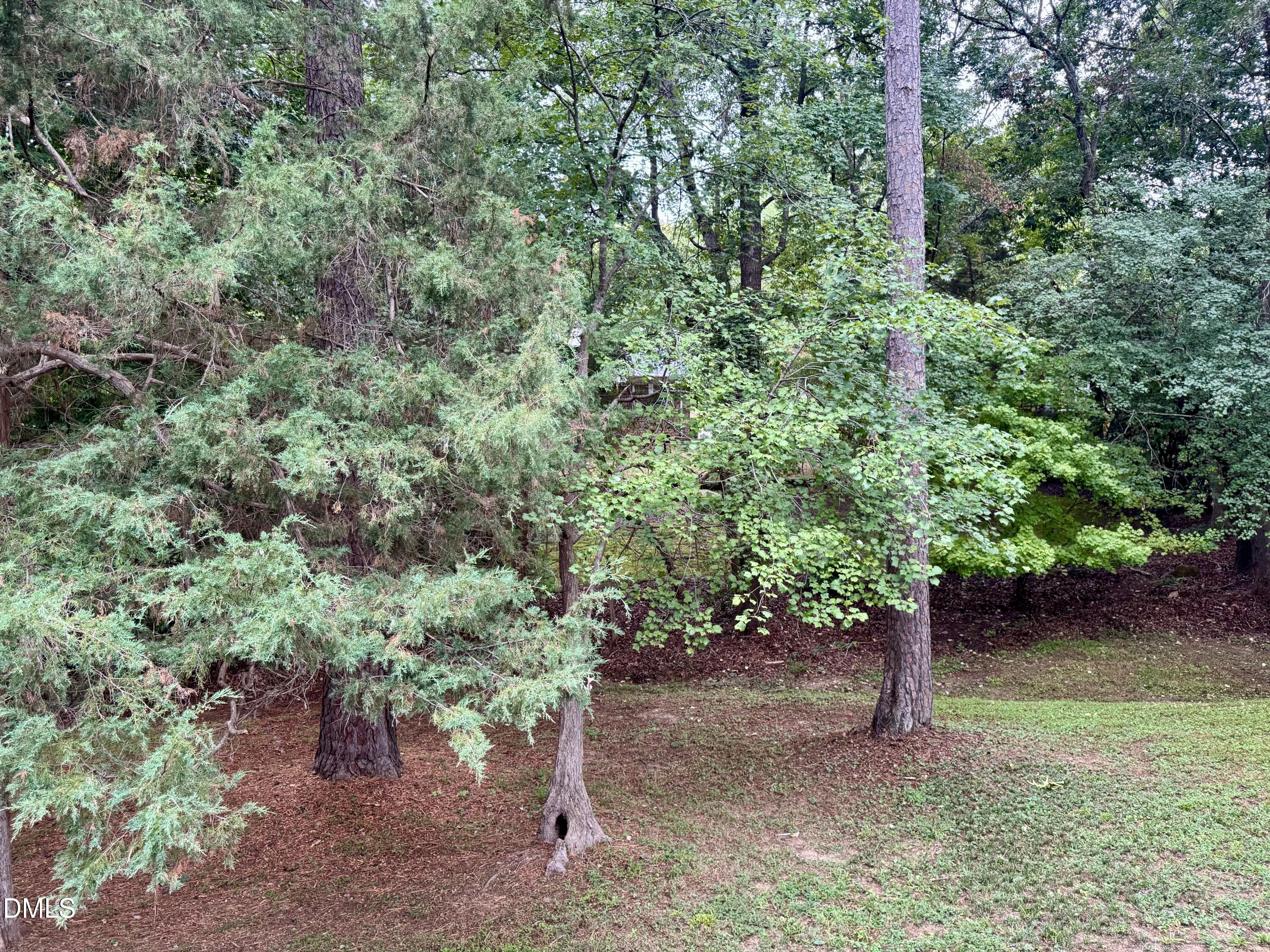 6317 Winthrop Drive Property Photo 33