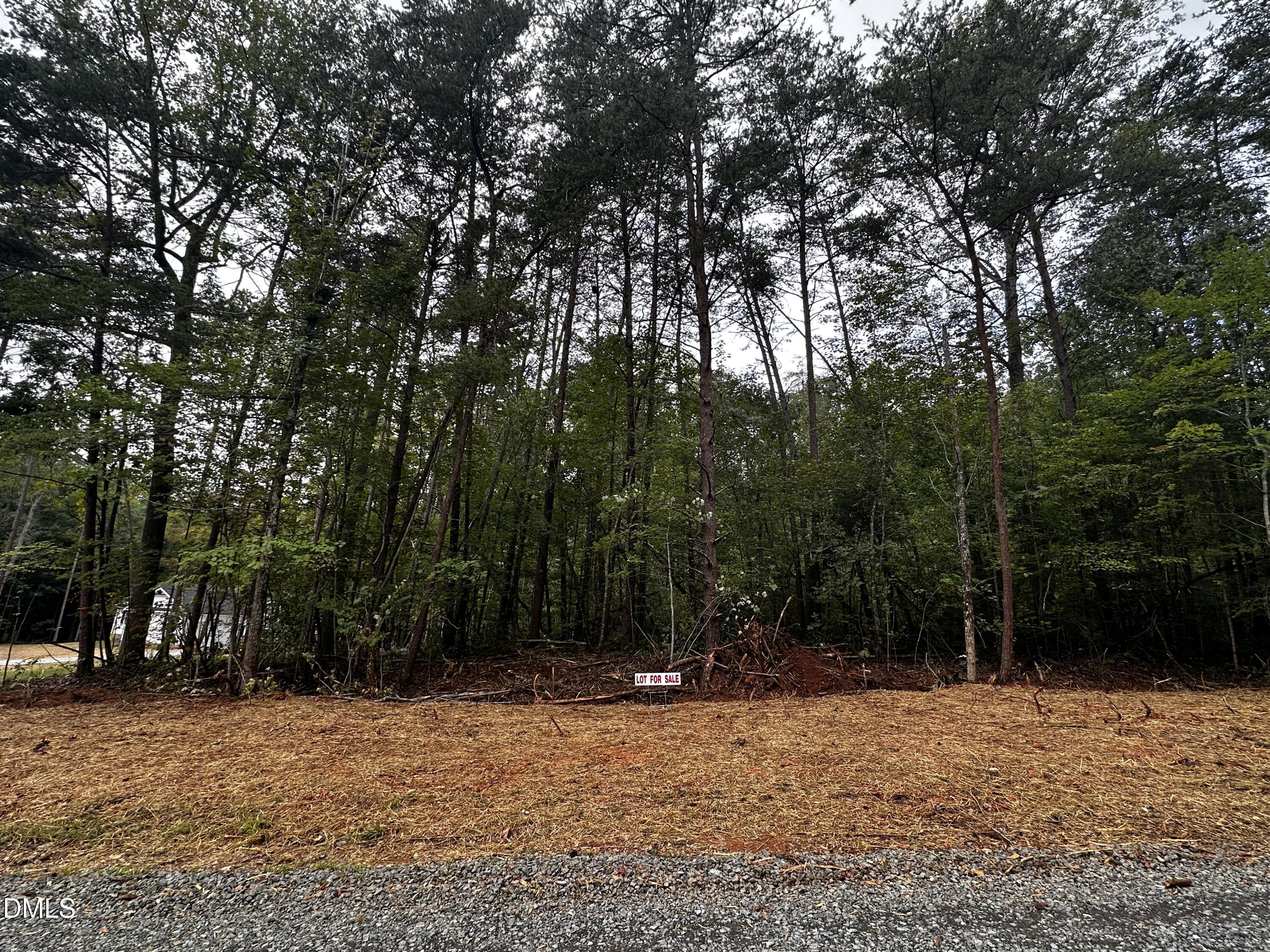 Lot 47 Green Pine Road Property Photo 1