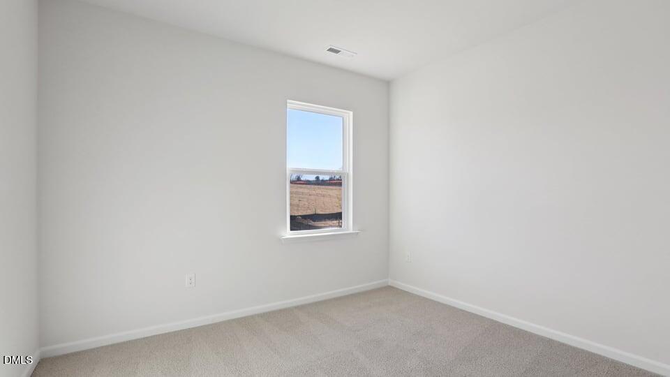 106 Tiger Eye Drive Property Photo 12