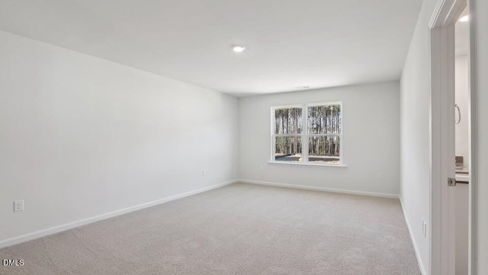 106 Tiger Eye Drive Property Photo 14