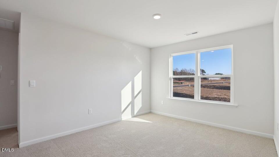 106 Tiger Eye Drive Property Photo 18
