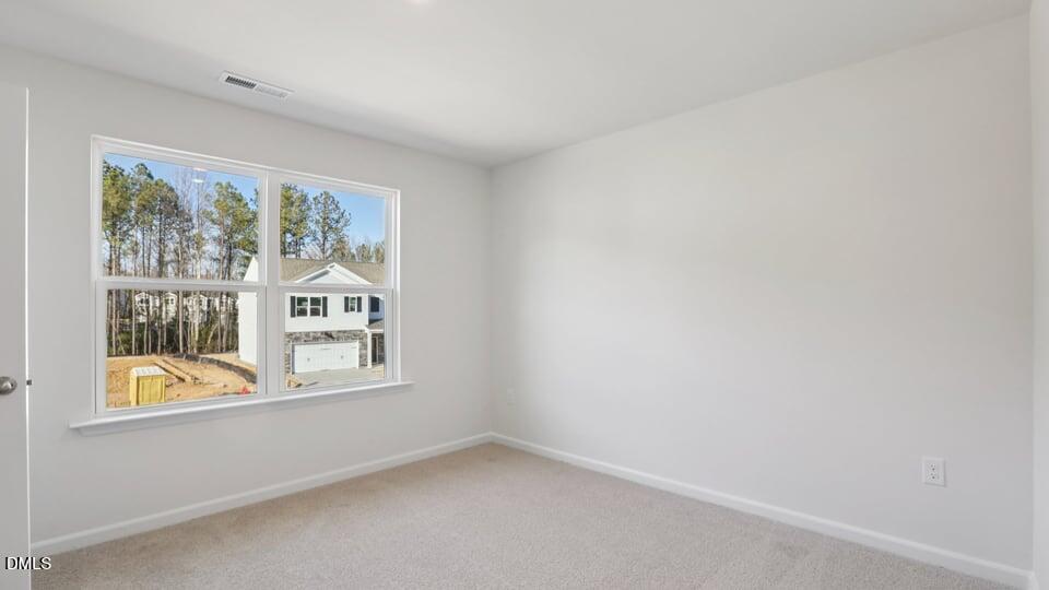 106 Tiger Eye Drive Property Photo 21