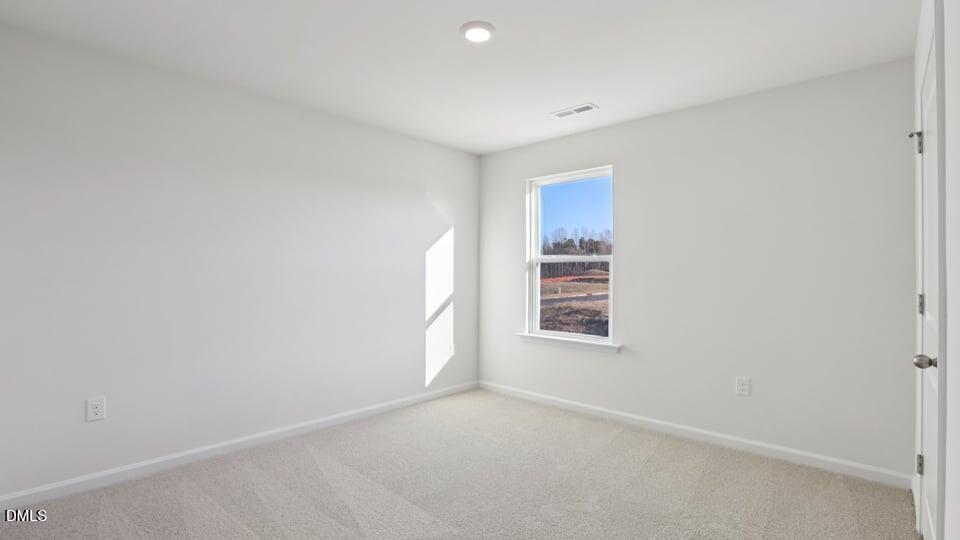 106 Tiger Eye Drive Property Photo 22